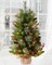 3ft Pre-Lit Artificial Christmas Tree with 70 LED Lights Tabletop (Green) 24"D x 24"W x 36"H